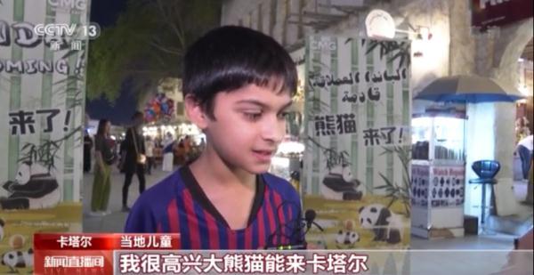 中国大熊猫首次旅居中东，过得怎么样？